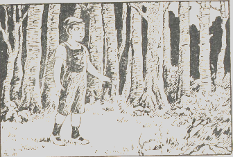 נער ביער.png