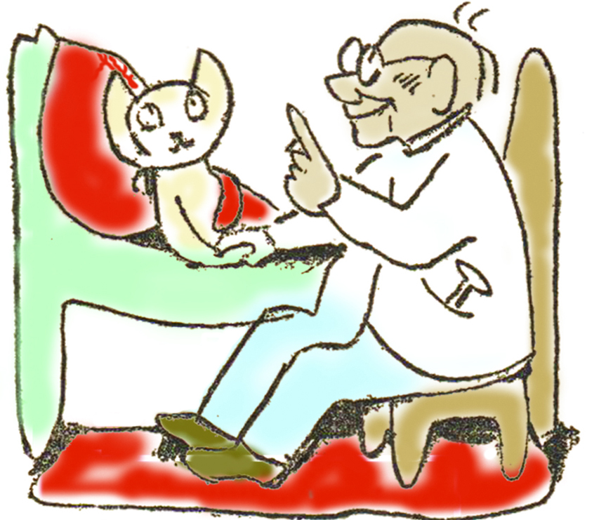 החתלתולה והרופאt.jpg